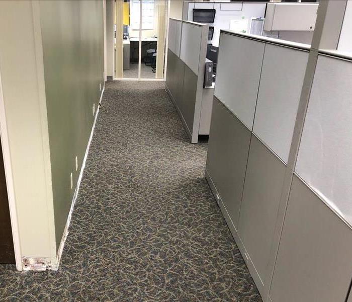 Commercial office with cubicles and dry carpets the equipment has been removed